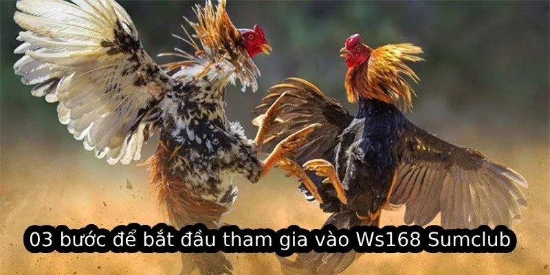 03 bước để bắt đầu tham gia vào Ws168 Sumclub