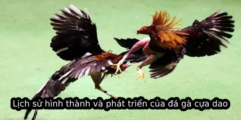 Lịch sử hình thành và phát triển của đá gà cựa dao